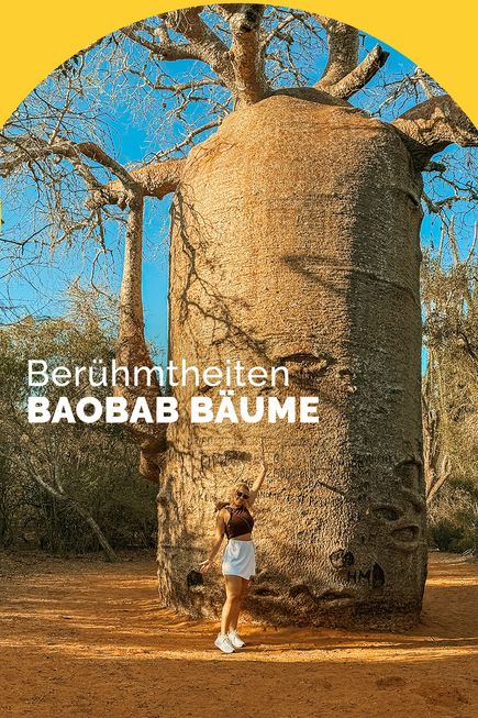 Abbildung