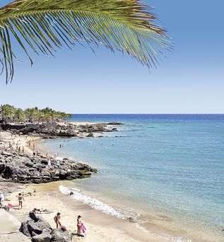 allsun App.-Hotel Albatros