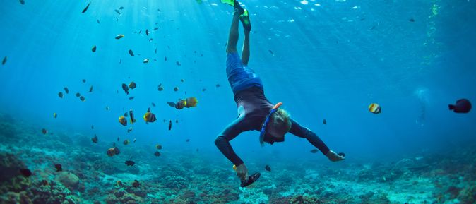 Eine Taucherin auf dem Weg zum Boden, um sie herum schwimmen Fische
