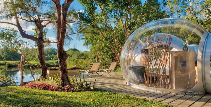 Bubble Lodge