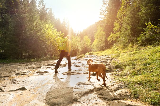 Ein Mann und ein Hund wandern auf einem Hügel der Sonne entgegen