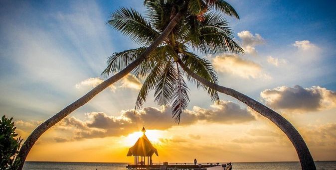 Canareef Resort Maldives
