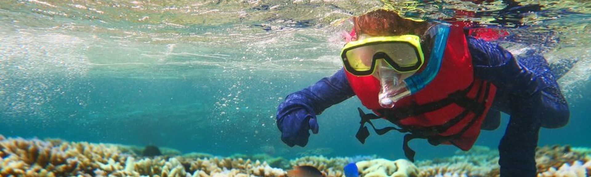 Taucher mit Schnorchel zeigt auf Fische in einem Korallenriff