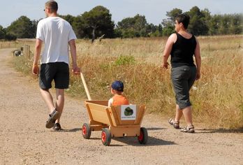 Protur Badía Park Aparthotel