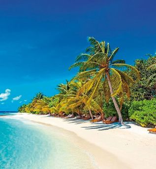 Lily Beach Resort and Spa All Inclusive