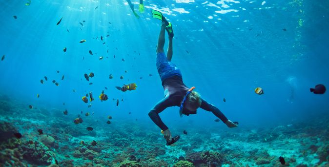 Eine Taucherin auf dem Weg zum Boden, um sie herum schwimmen Fische