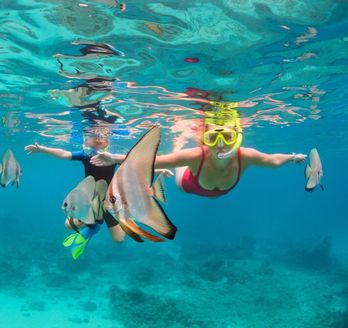 Zwei Kinder tauchen mit Taucherbrille und Schnorchel zwischen Fischen