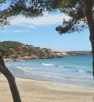 Vintage Hotel Bella Colina est. 1953