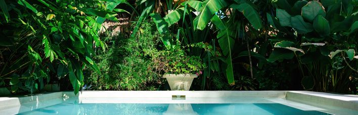 Ein Private Pool umgeben von Pflanzen