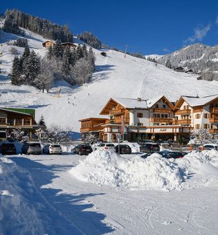 Hotel Auhof