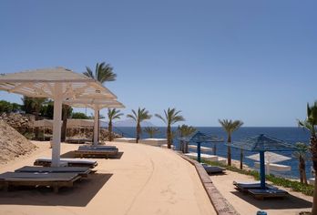 Grand Oasis Resort