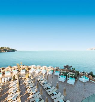 Sentido Fido Punta del Mar