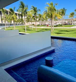 Ein Swim-up Pool mit Palmen im Hintergrund