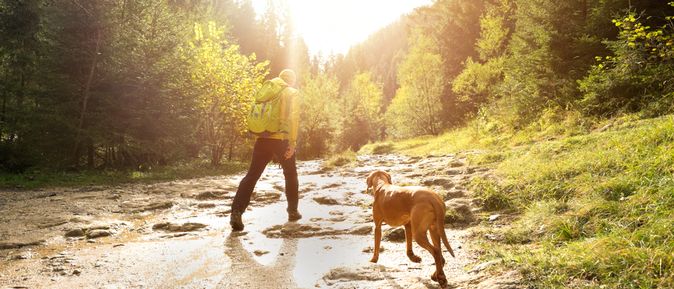 Ein Mann und ein Hund wandern auf einem Hügel der Sonne entgegen