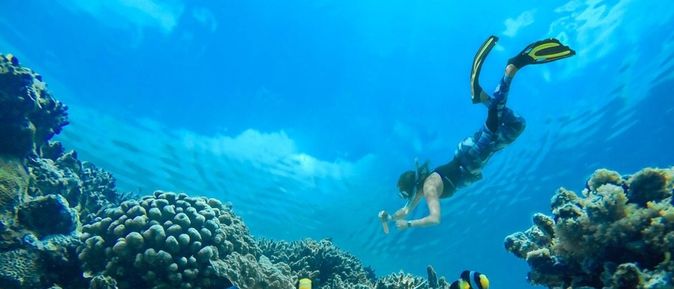 Taucher und Fische unter Wasser