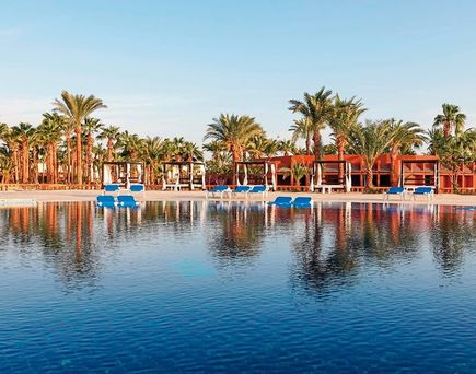 Calimera Blend Paradise