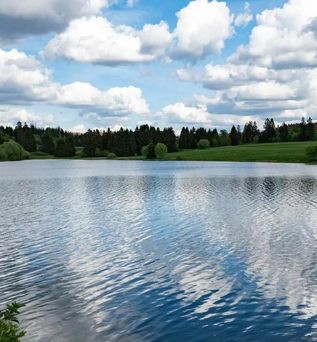 Bunter Bock - Die Harz-Urlaubs-Alm