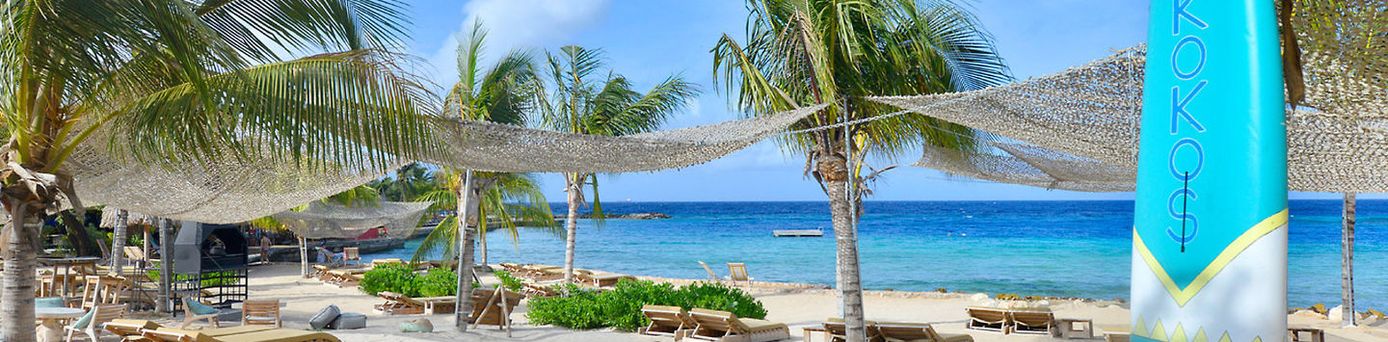 Chogogo Dive & Beach Resort Curaçao