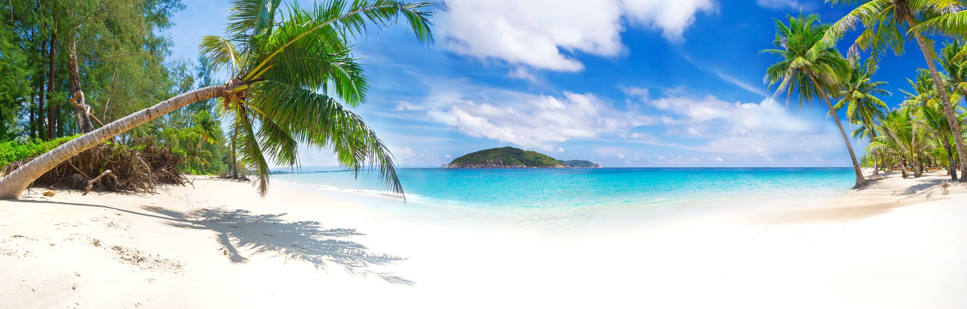 Thailand - weißer Sandstrand, Palmen, koh Phangan