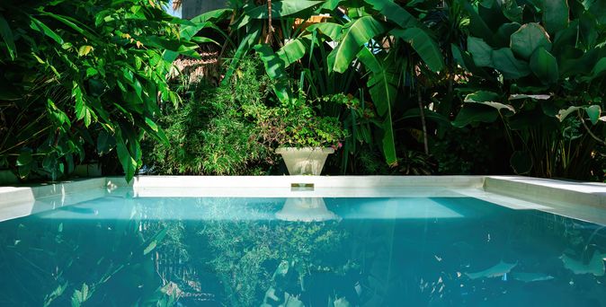 Ein privater Pool umgeben von Pflanzen
