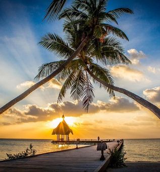 Canareef Resort Maldives