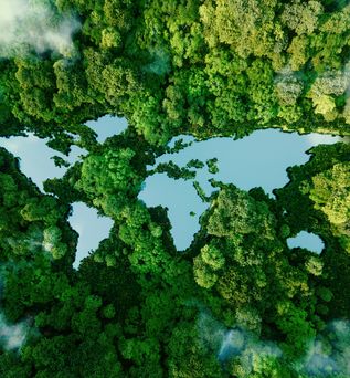 Ein Wald von oben, Wasser bildet die Kontinente der Welt
