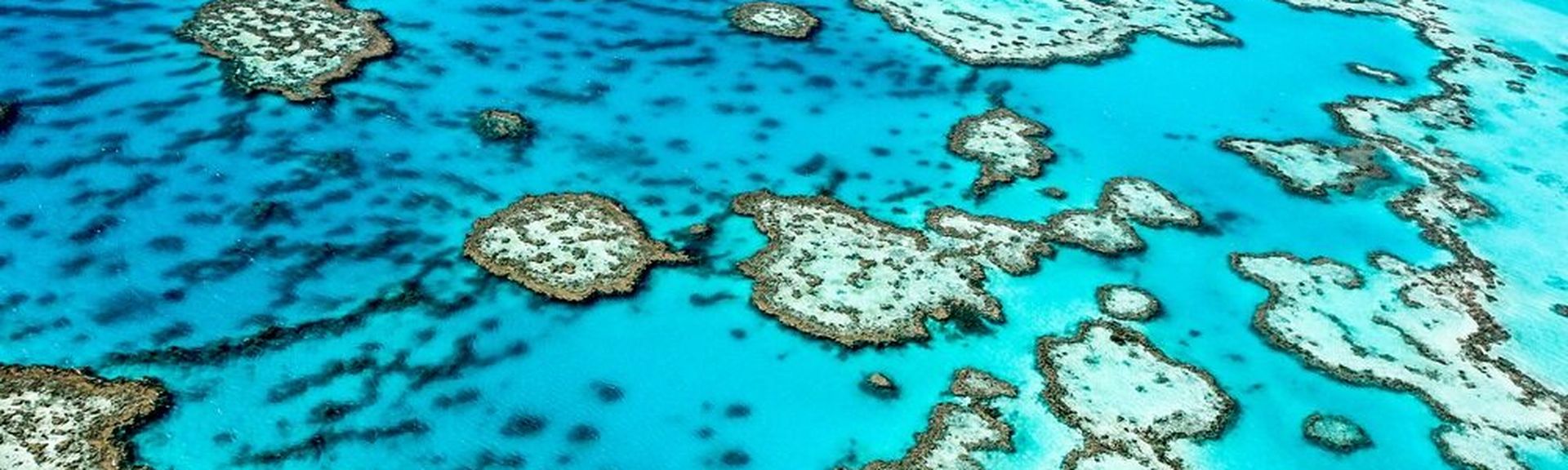 Das Great Barrier Reef von oben
