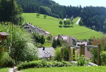 Häfner's Flair Hotel Adlerbad