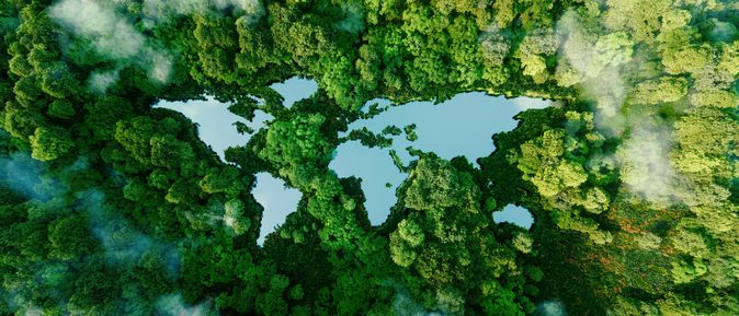 Ein Wald von oben, Wasser bildet die Kontinente der Welt