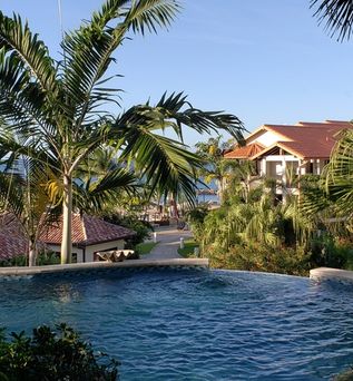Privater Pool umgeben von Palmen