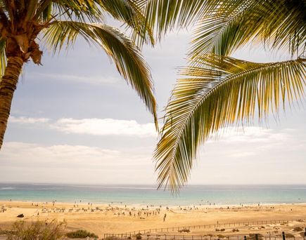 Iberostar Selection Fuerteventura Palace