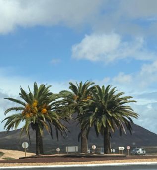 Fuerteventura