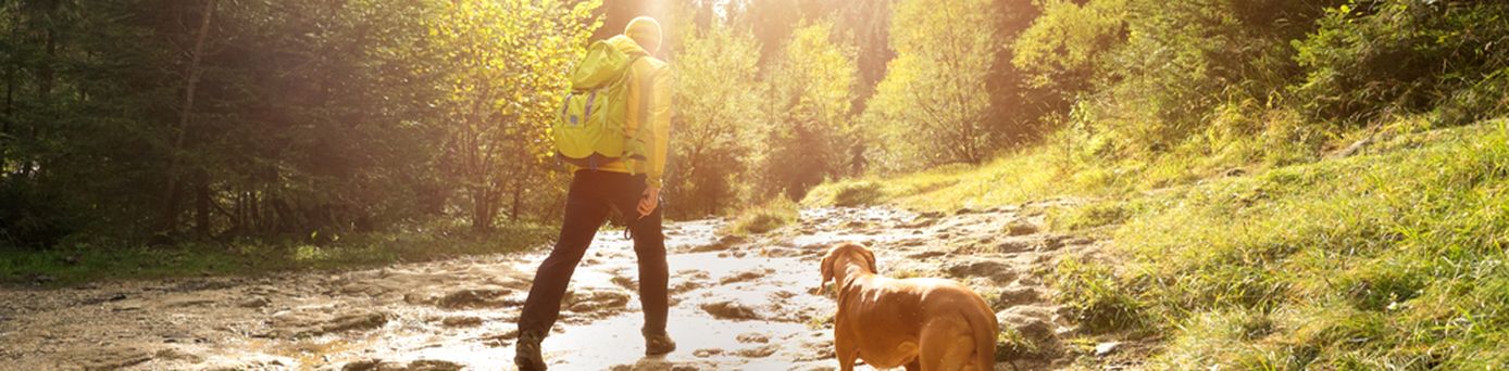 Ein Mann und ein Hund wandern auf einem Hügel der Sonne entgegen
