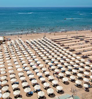 Trendy Verbena Beach