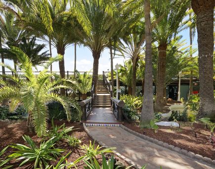 Hotel Parque Tropical