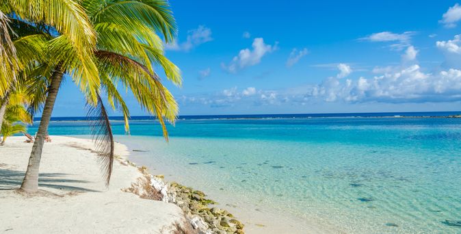 Sandstrand am blauen Meer mit einer Palme