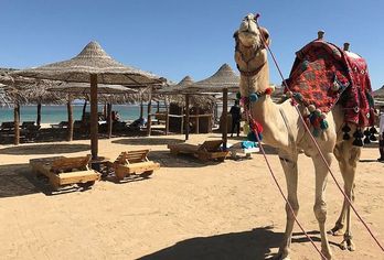 Utopia Beach Club