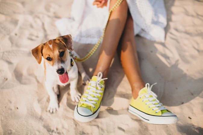 Junge Frau und Hund sitzen gemeinsam im Sand