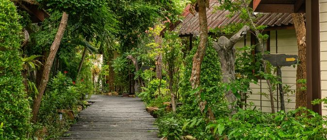 Ein Weg aus Holzplatten umgeben von Bäumen, Rechts sieht man Hauseingänge