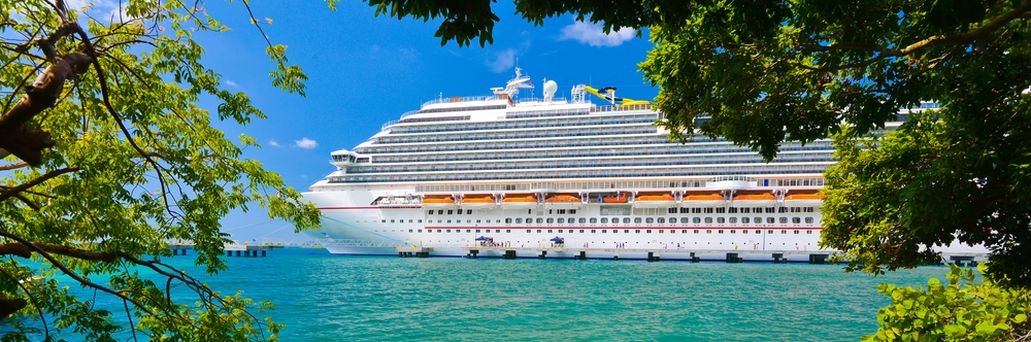 Ein Kreuzfahrtschiff wird durch Äste eines Baumes sichtbar