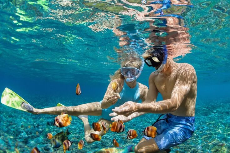 Zwei Taucher mit Taucherbrillen und Schnorcheln zeigen auf kleine Fische 