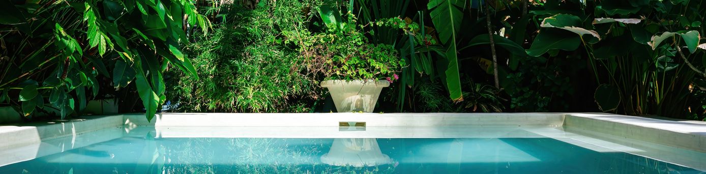 Ein privater Pool umgeben von Pflanzen