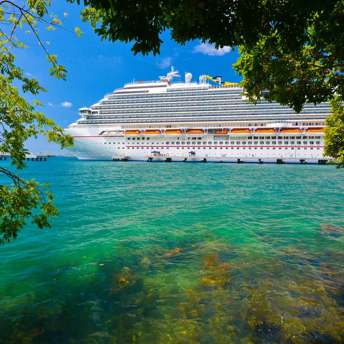 Ein Kreuzfahrtschiff wird durch Äste eines Baumes sichtbar