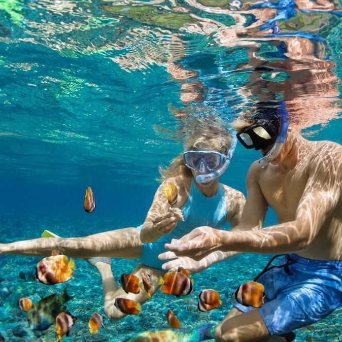 Zwei Taucher mit Taucherbrillen und Schnorcheln zeigen auf kleine Fische 