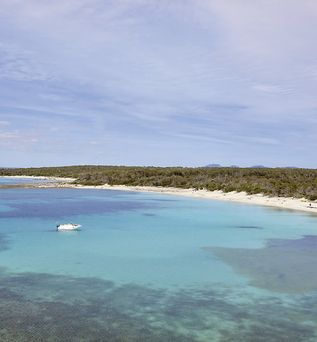 Universal Hotel Marqués