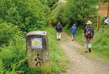 Wandern auf dem Jakobsweg - Die portugiesische Route an den Küsten