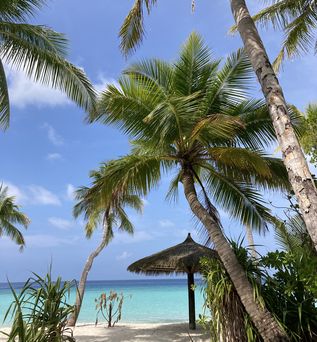 außergewöhnliche Unterwasserwelt, absolute Ruhe und dieses unvergleichliche Gefühl von purem Inselglück