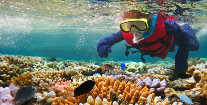 Taucher mit Schnorchel zeigt auf Fische in einem Korallenriff