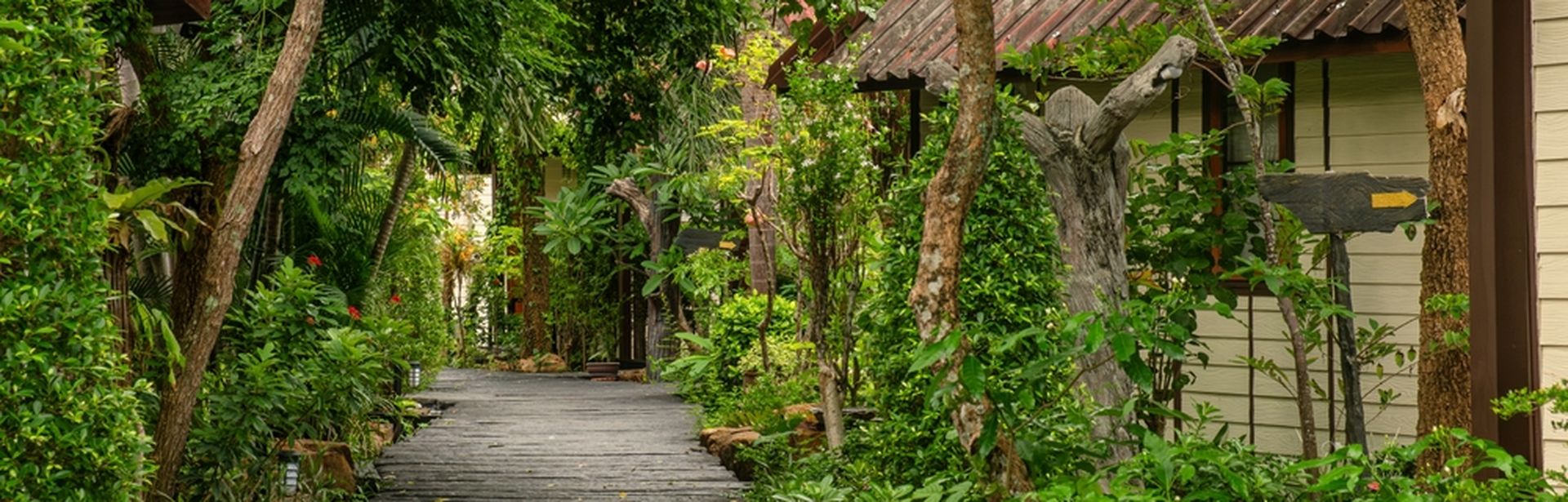 Ein Weg aus Holzplatten umgeben von Bäumen, Rechts sieht man Hauseingänge